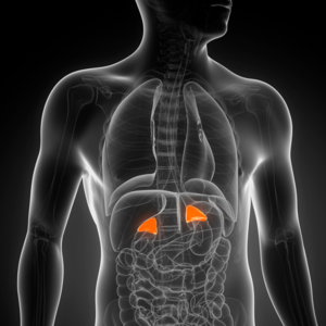 Atypical+adrenal+tumor